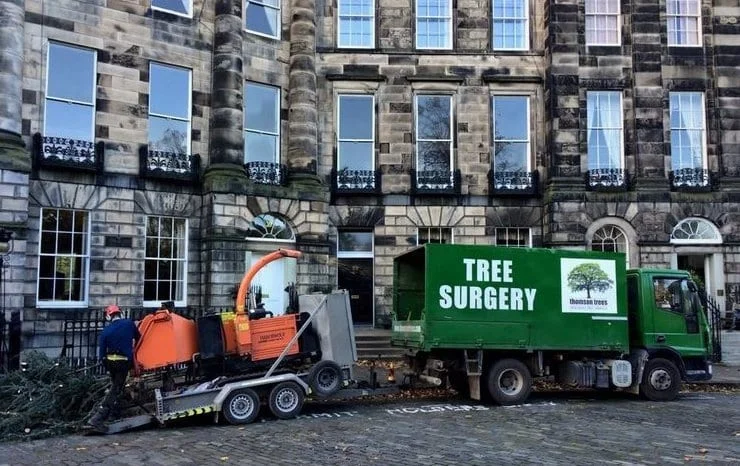 commercial tree surgeons