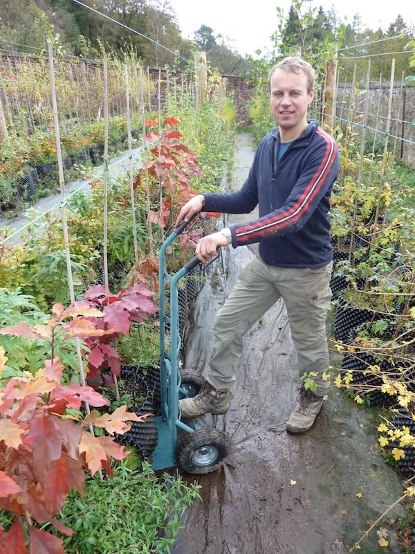 tree planting edinburgh