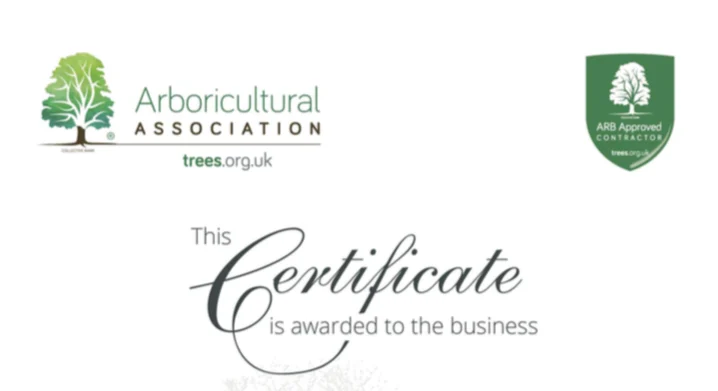 Screen Shot 2020 07 01 at 12.00.17