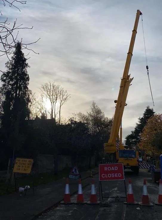 road closure for tree removal in edinburgh.