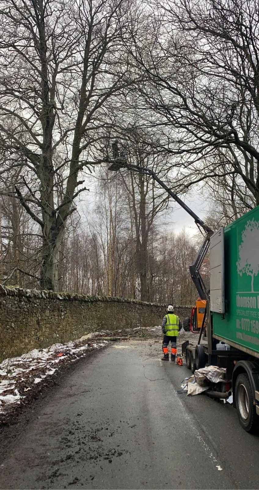 tree safety works on an estate south of Edinburgh.