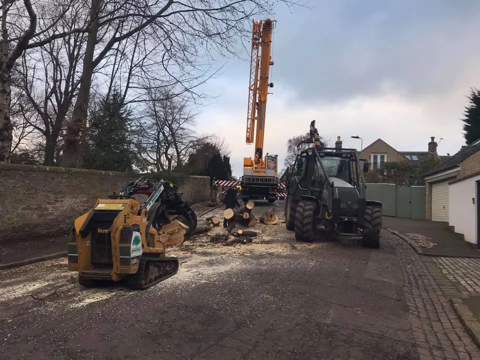 ssip accreditation with chas