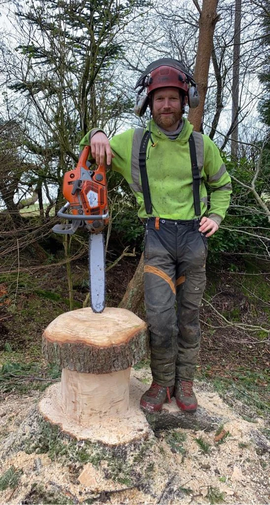 felling conifer trees in ninemilenburn.