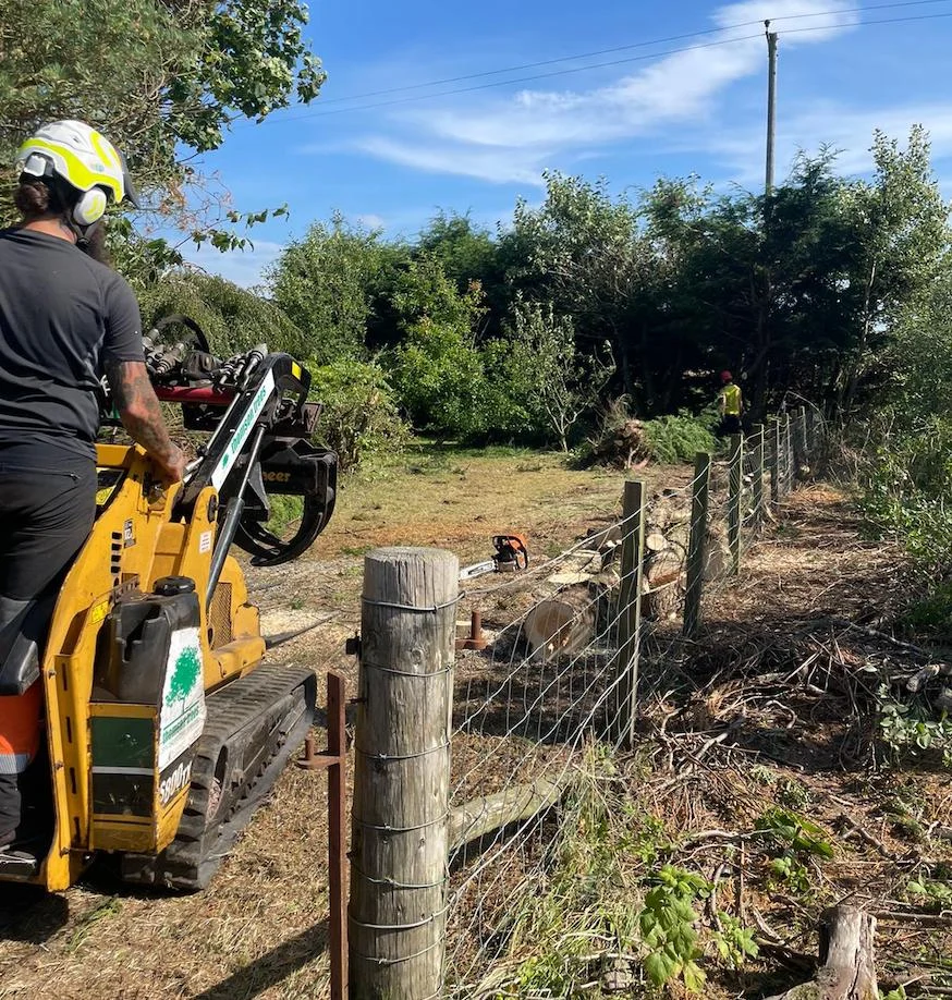leylandii hedge removal service near Biggar.