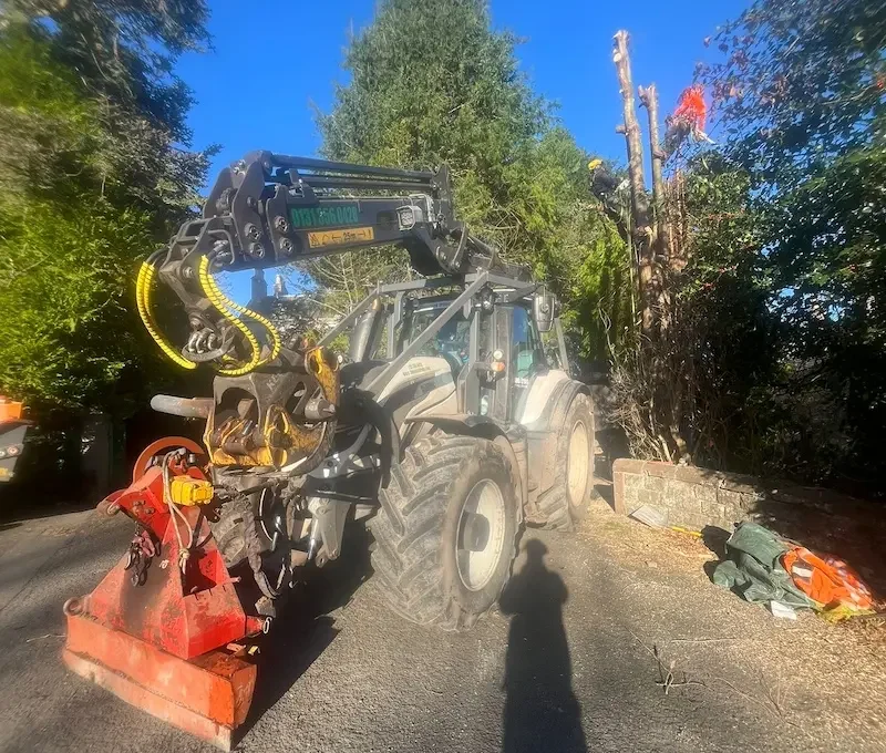 Removal of trees with tractor and crane.